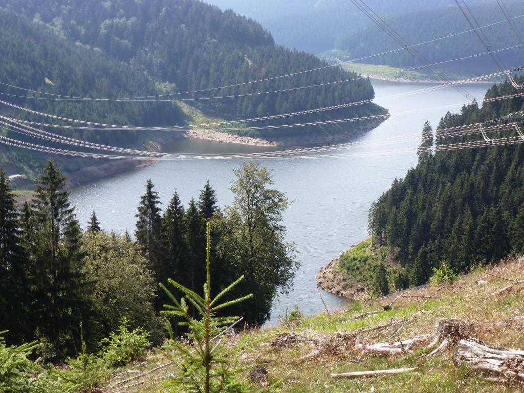 Flair-Hotel Waldfrieden Oberweißbach Zewnętrze zdjęcie