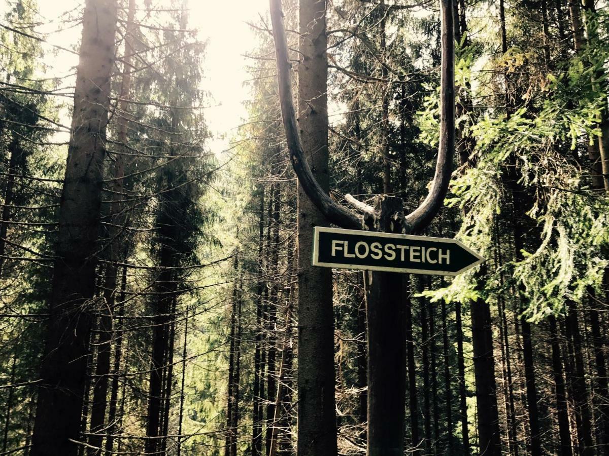 Flair-Hotel Waldfrieden Oberweißbach Zewnętrze zdjęcie