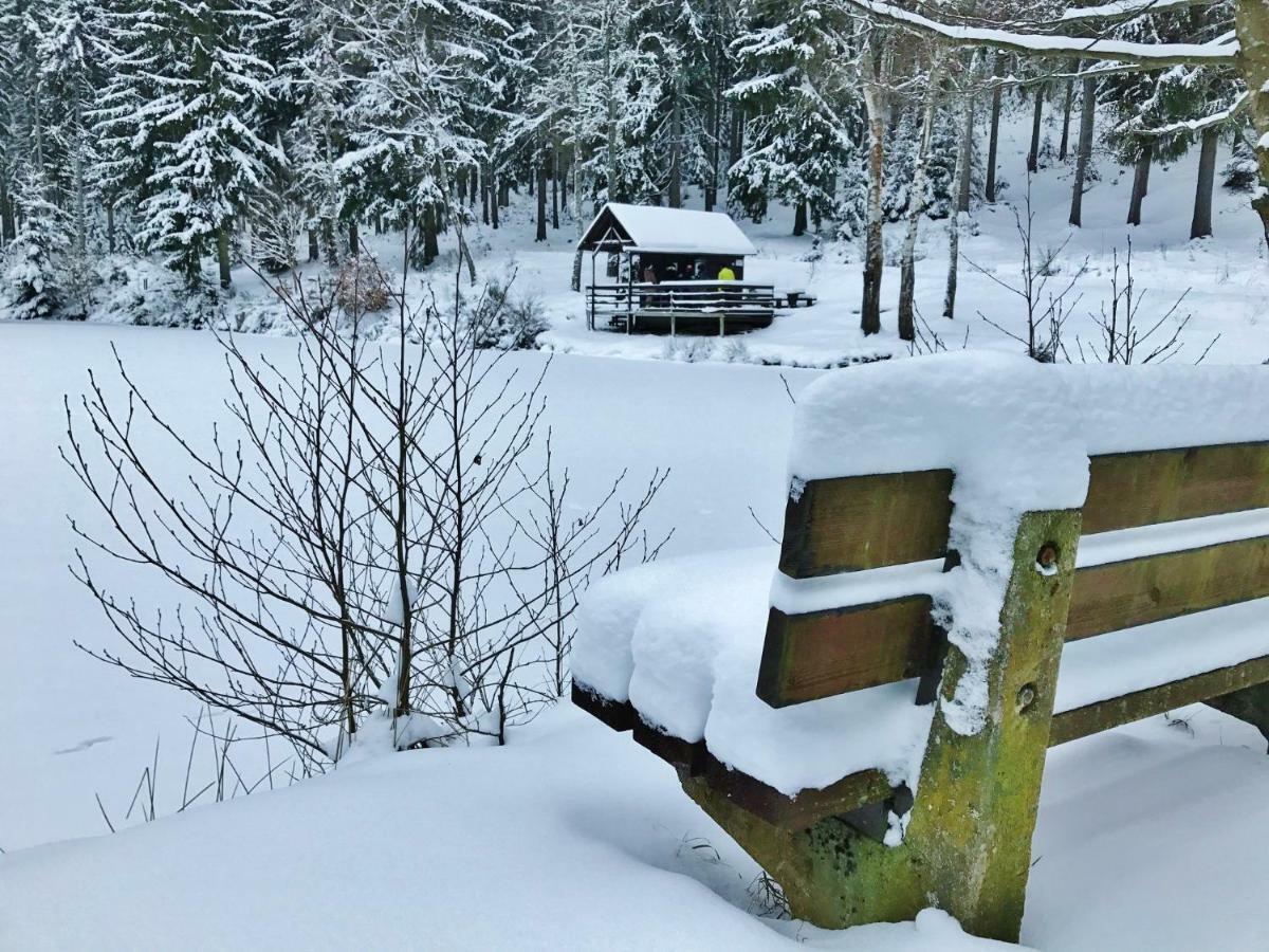 Flair-Hotel Waldfrieden Oberweißbach Zewnętrze zdjęcie